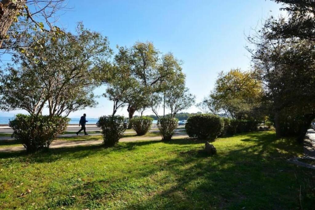 Anemomilus Casa Ideale コルフ島 エクステリア 写真